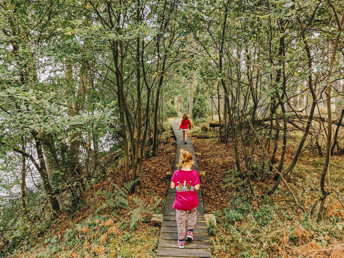 Szlak z kładkami przy jeziorze Kacze Oko w Borach Tucholskich
