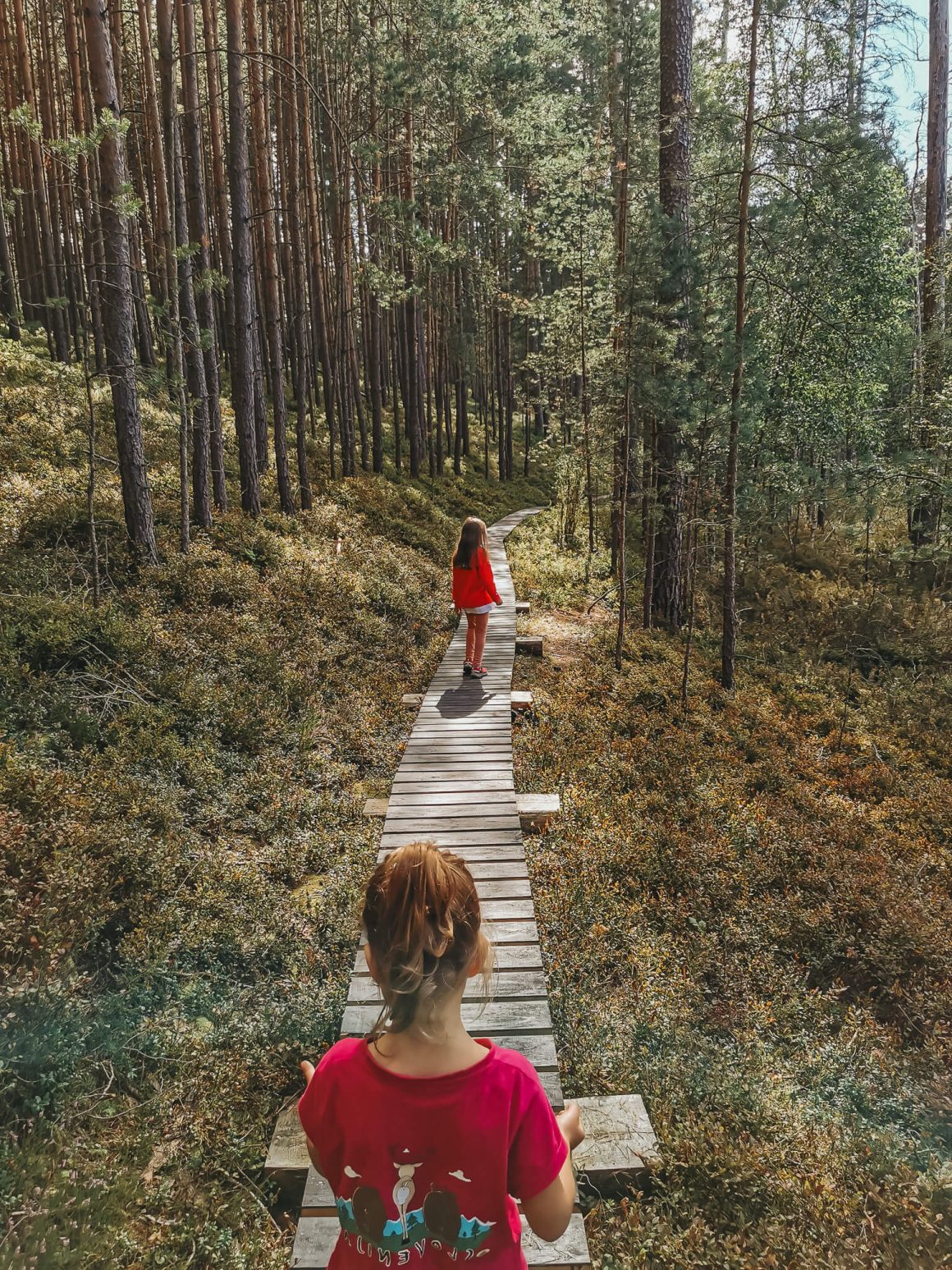 Co warto zobaczyć w Borach Tucholskich