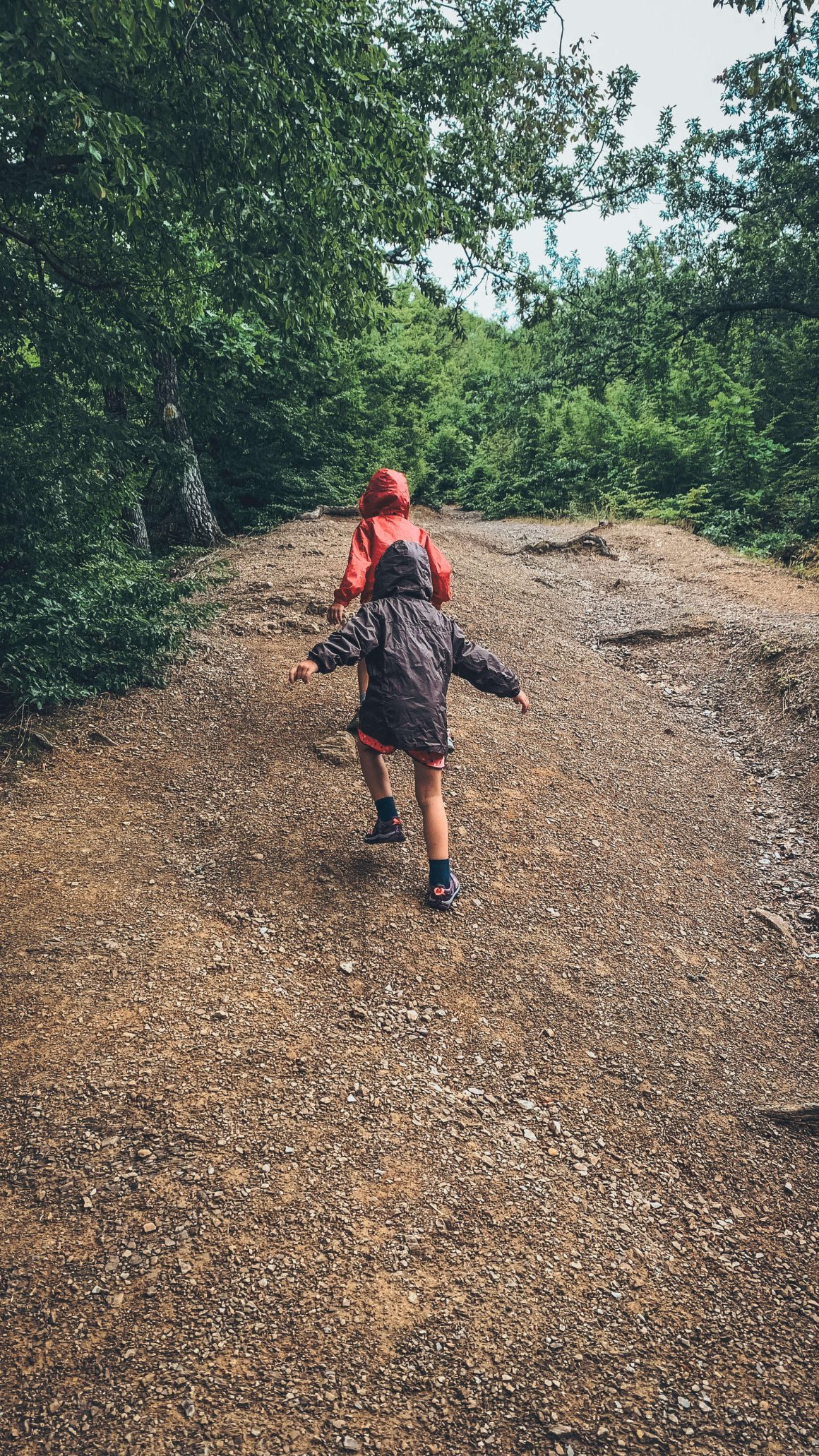 szlak na Ciucarul Mare, Rumunia w Rumunii