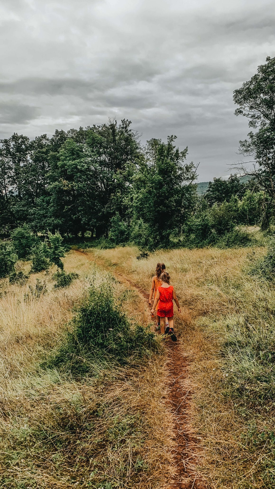szlak na Ciucarul Mare, Rumunia w Rumunii