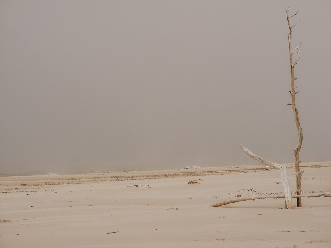 plaża, wydma czołpińska