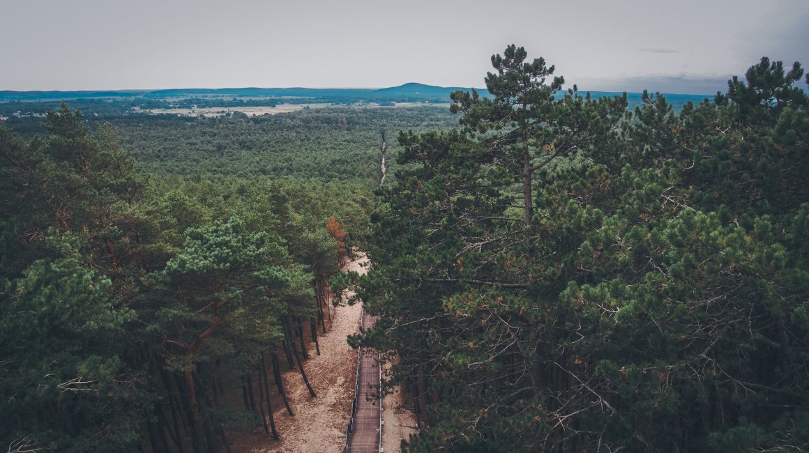 widok z latarni morskiej w Czołpienie