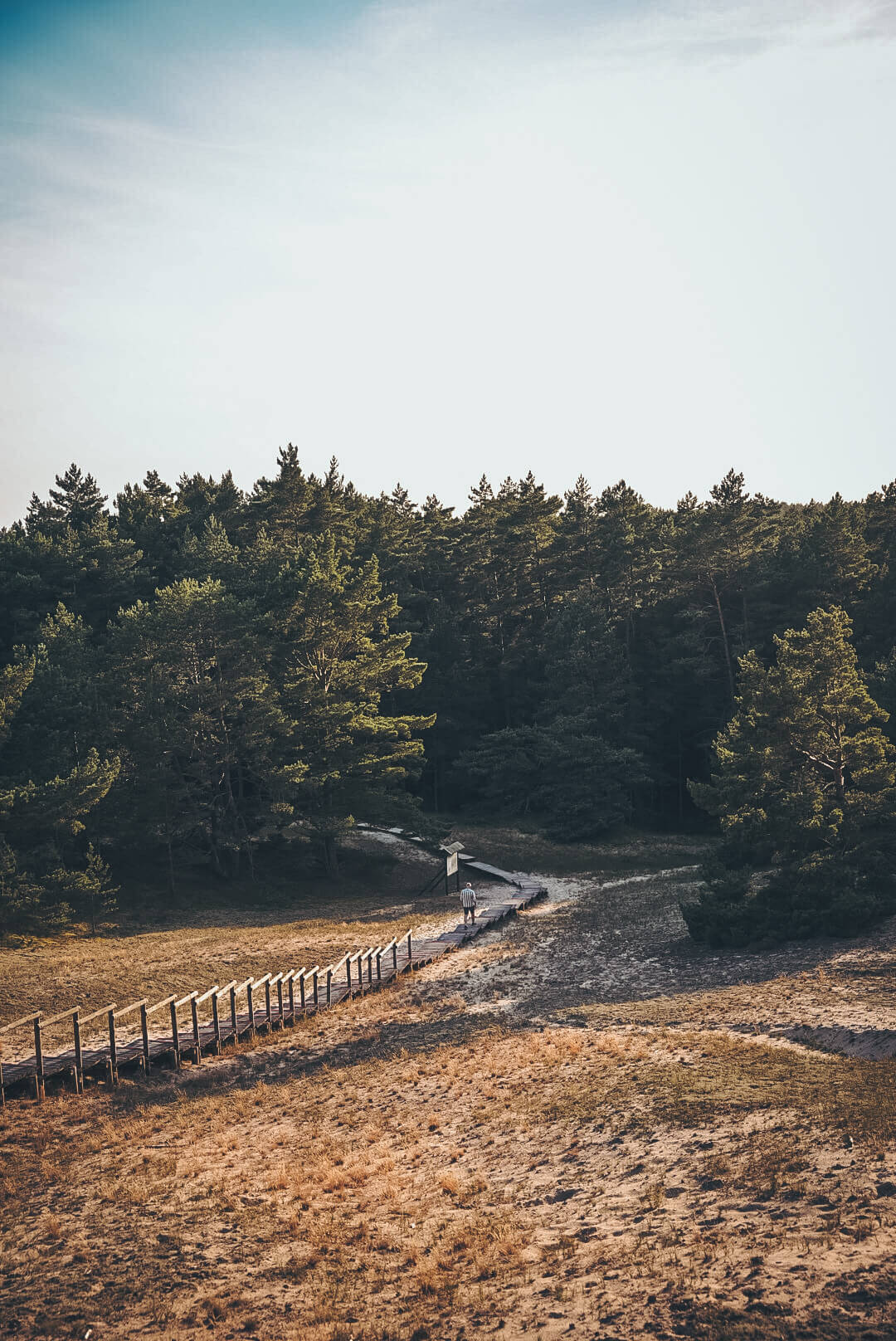 Ścieżka przez Wydmę Orzechowską