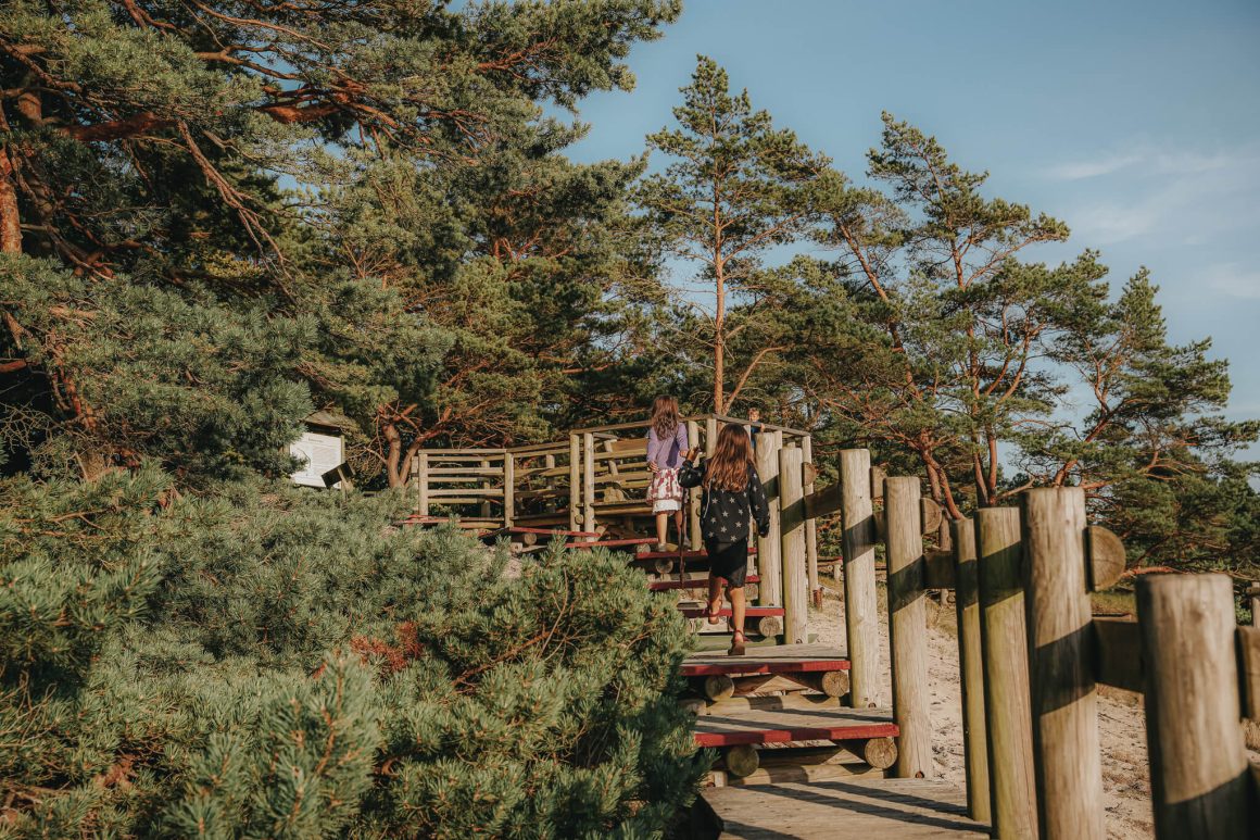 Ścieżka przez Wydmę Orzechowską